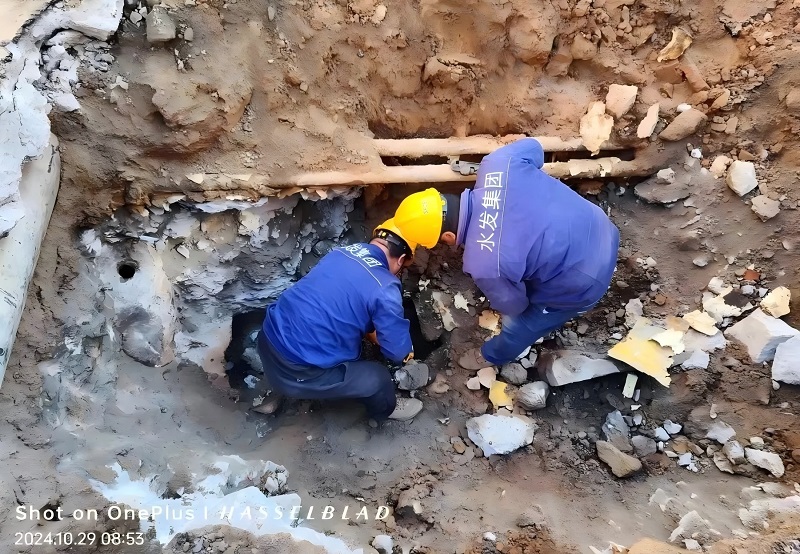 1732848392979057.jpg 640.jpg